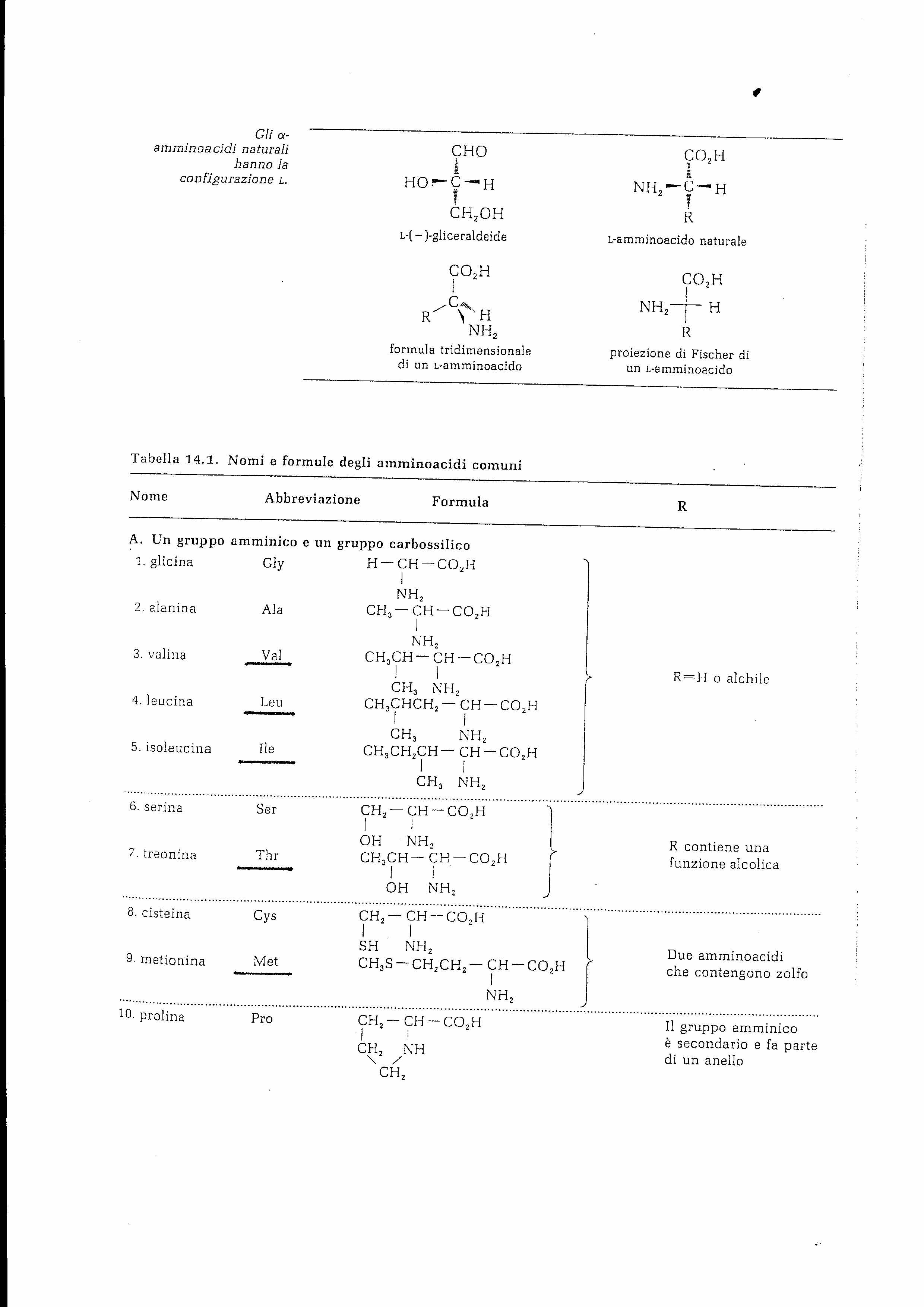 formule di strutttura degli amminoacidi 